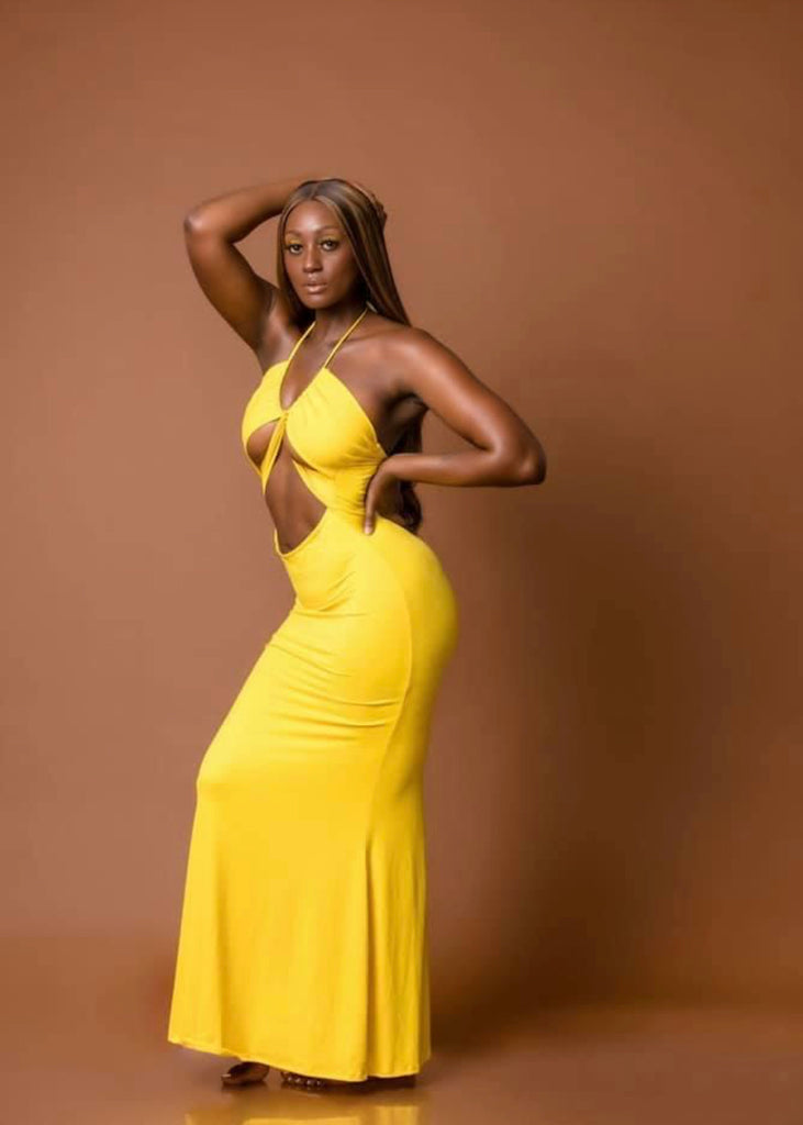 Custom Highlight 24 inch HD closure Wig